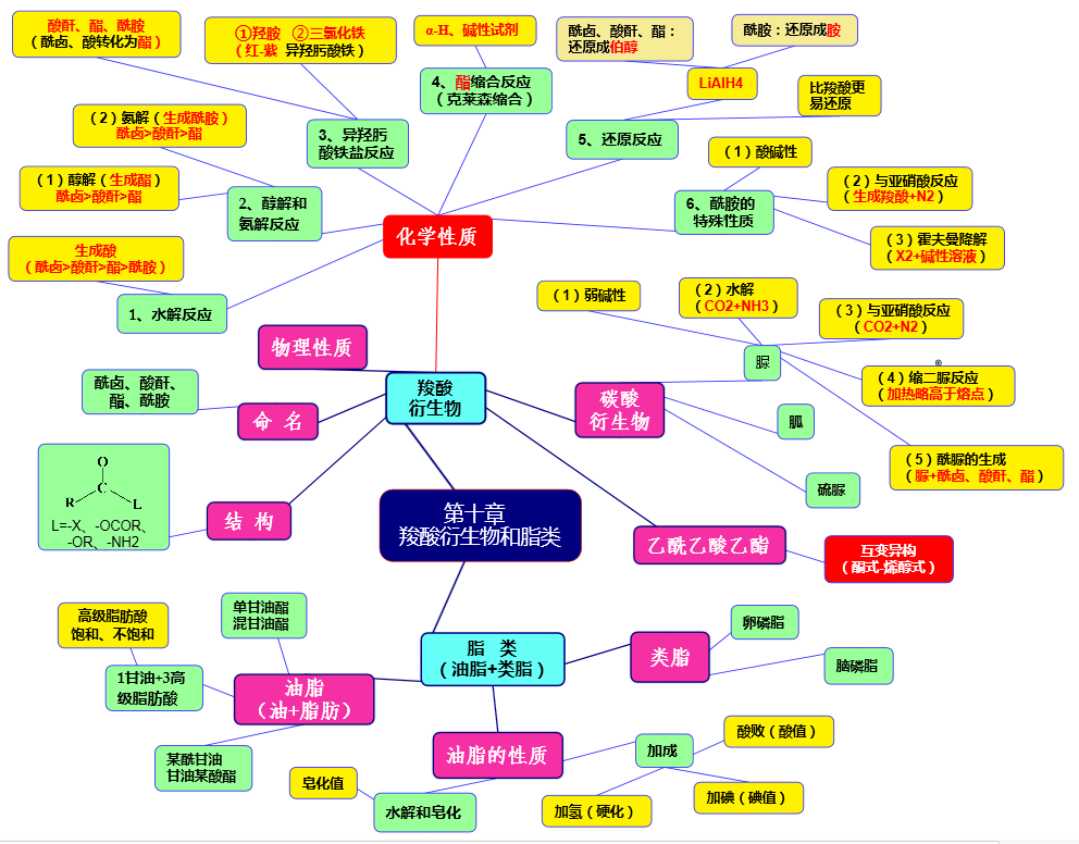 10第十章 羧酸衍生物和脂类.png