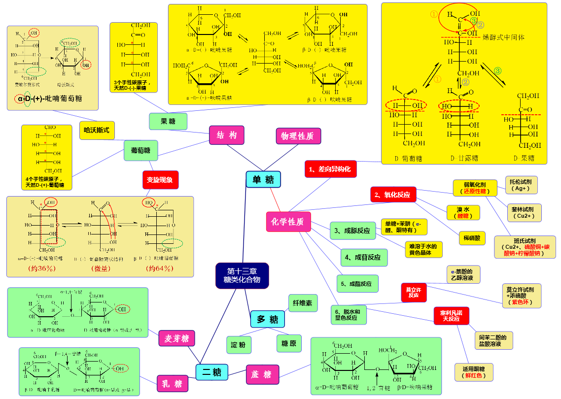 13第十三章 糖类化合物.png